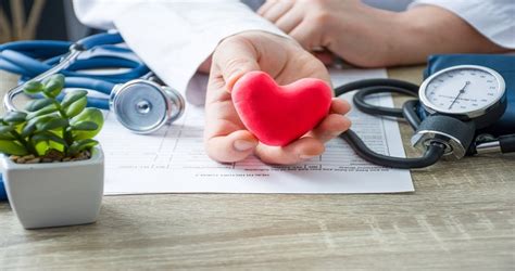 What Does A Cardiologist Do Guide To Cardiac Health
