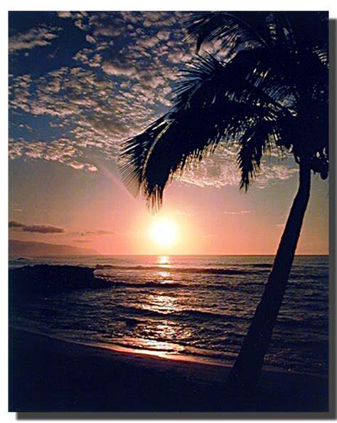 Hawaiian Sunset Poster Sunset Posters