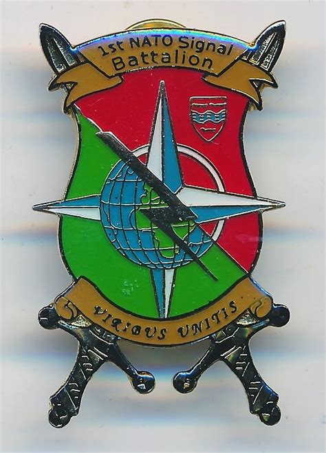 1stnato Signal Battalion Emailiertes Abzeichen Sauber Und Ordentlich