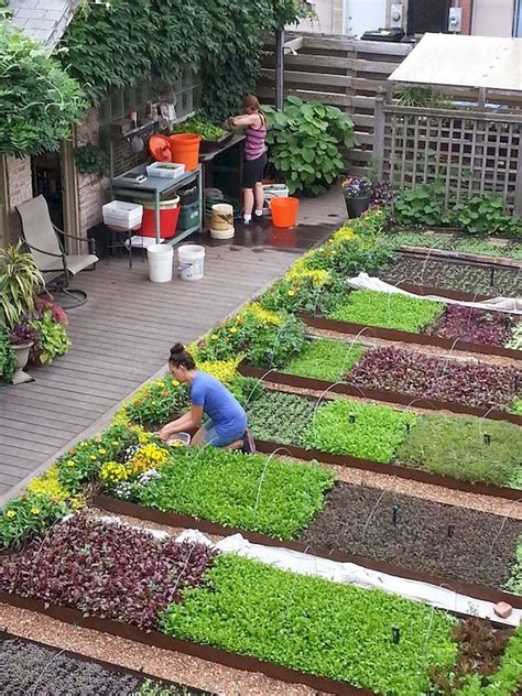 Awesome 35 Stunning Vegetable Backyard For Garden Ideas