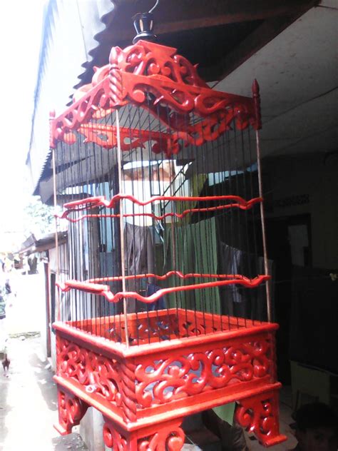 komunitas jual-beli burung/sngkar daerah citeurep.sentul.cibinong