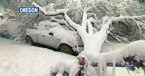 Record Snowfall In Northwest Us Amid Deadly Record Setting Storm