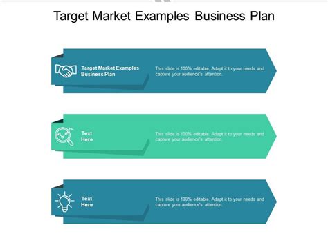 Target Market Examples Business Plan Ppt Powerpoint Presentation Show