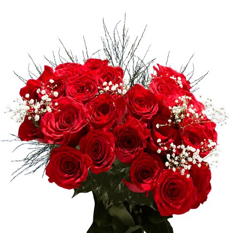 Two Dozen Red Roses With Babys Breath And Green Fresh Flower Delivery