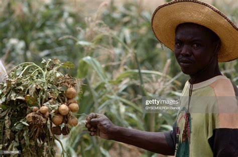Différents Aspects Du Burkina Faso En Avril 1994 Lagriculture