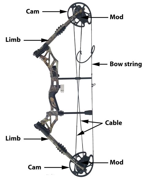 How Does A Compound Bow Work The Full Explanation