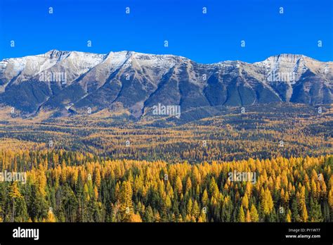 Seeley Swan Valley Hi Res Stock Photography And Images Alamy