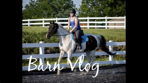 Barn Vlog 17 How I Got My Horse To Be Less Cinchy Youtube