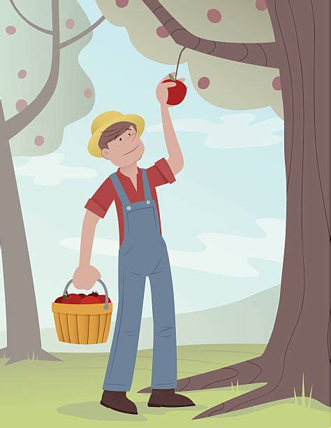 Royalty Free Apple Picking Clip Art Vector Images And Illustrations Istock