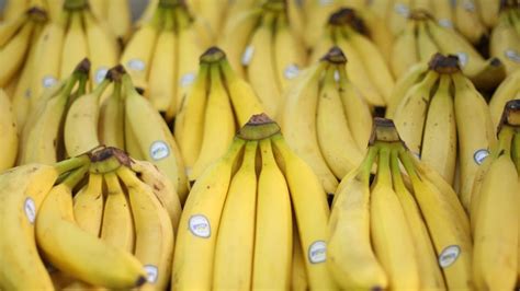 Why Bananas As We Know Them Might Go Extinct Again Cnn