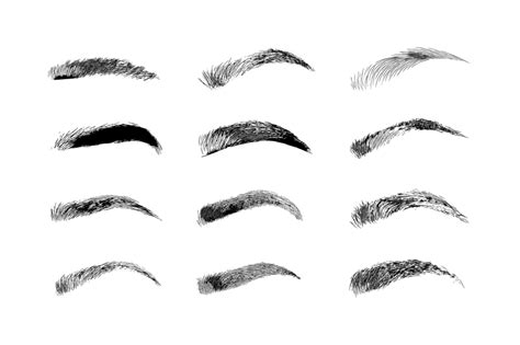 Eyebrow Shapes Various Types Of Eyebrows By Artha Graphic Design