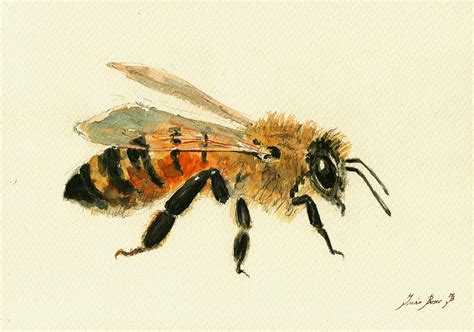 96 Best Ideas For Coloring Realistic Bee Painting