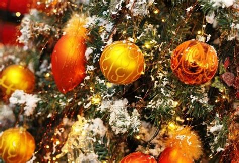 Χριστουγεννιατικα γλυκα εκτοσ απο τα μελομακαρονα ειναι και οι 2. Tα πιο παράξενα χριστουγεννιάτικα έθιμα | Sofokleousin