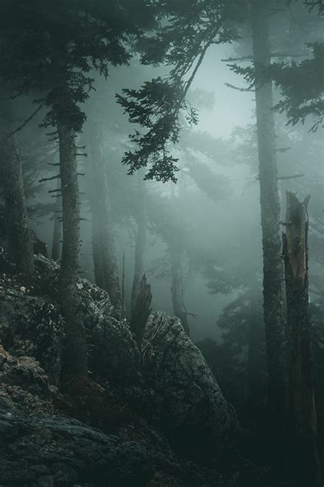 Deep Dark Forest By Jea Pics Fog Photography Nature Aesthetic