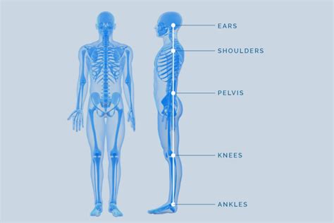 Bone Health Series Part Four Of Four Posture And Safe Movement