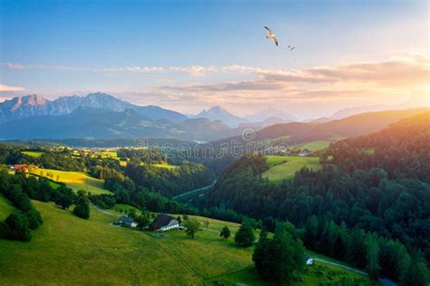 Green Meadows Alpine Houses And Mountain Peaks Salzburger Area