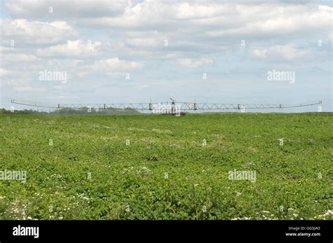 Briggs Self Propelled Water Irrigation System Stock Photo Alamy