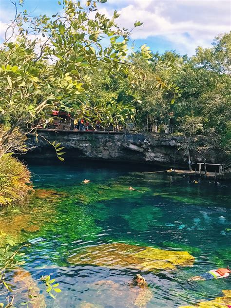 Jardin del Eden is an affordable cenote | Scenery, Clear water, Outdoor