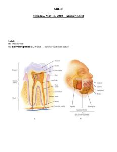 Digestive System Enzymes and Hormone Chart