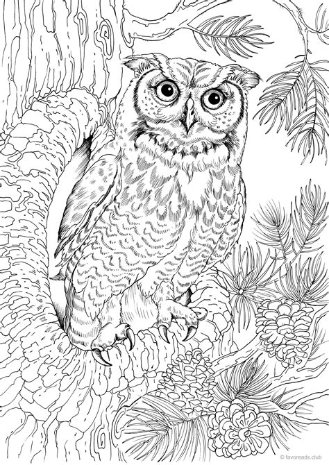Pin By Amanda Kay On Coloring Pages Owl Coloring Pages Bird Coloring