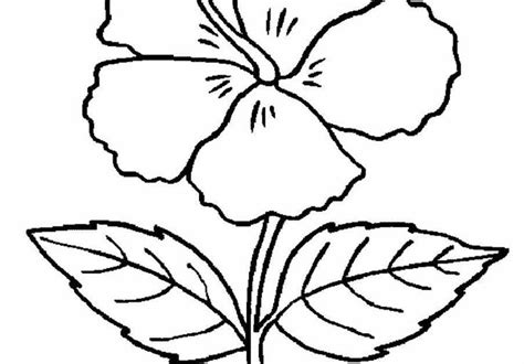 Detail Contoh Gambar Sketsa Bunga Yang Gampang Koleksi Nomer 13