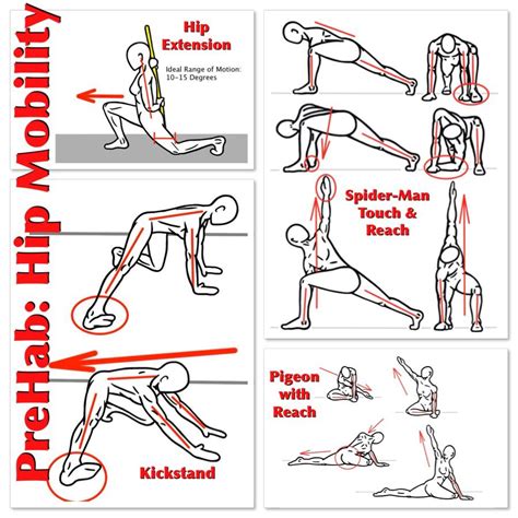 Hip Mobility Is Important For Human Movement And Essential For Peak