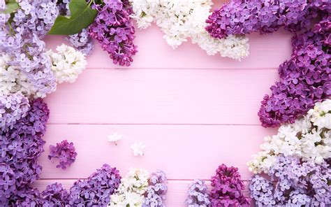 Check out our collection and find out (all images are free to download). Download wallpapers Frame with lilacs, purple wood ...