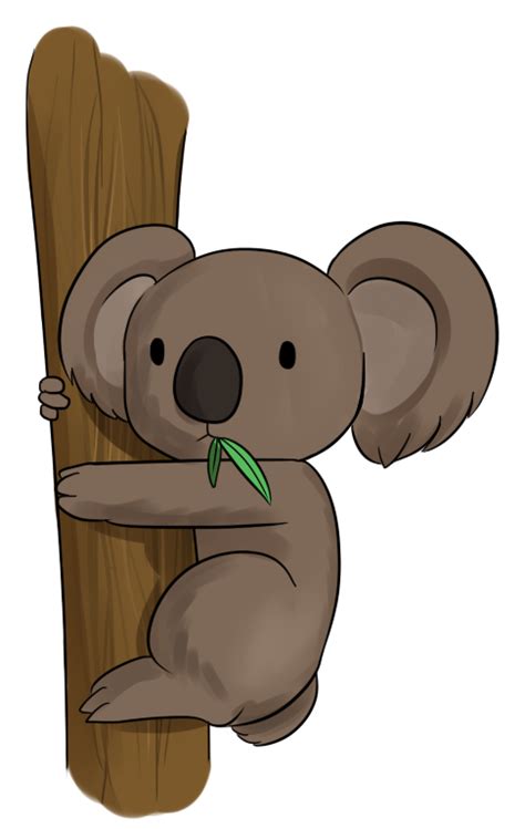 Koala Clip Art Vector 5 Graphics Wikiclipart