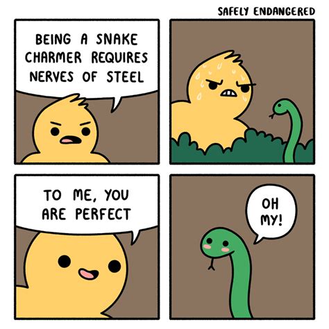 The Best Snake Charmer Rwholesomememes Wholesome Memes Know Your