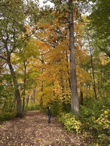 Best Hikes And Trails In Minooka County Park Alltrails