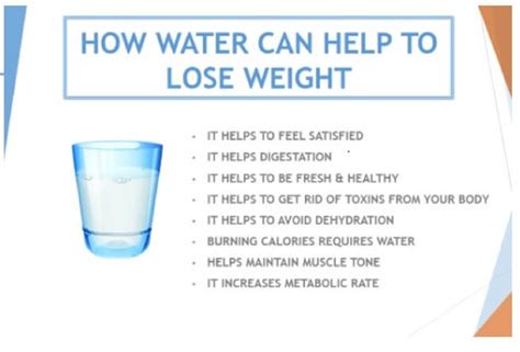 How Much Water Should You Drink A Day For A Healthy Body Scoopify