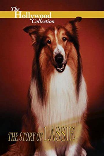 Watch The Hollywood Collection The Story Of Lassie Online 2009 Movie