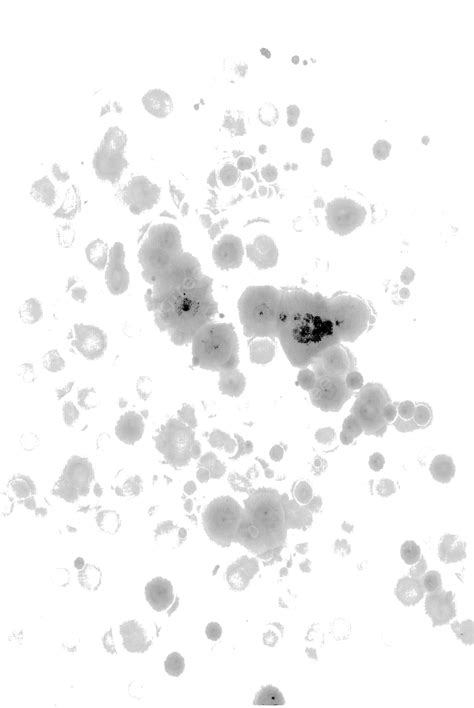 Ink Blots Ink Mark Ink Stains Ink Png Transparent Clipart Image And