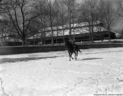 Kentucky Farm Time Capsule Hamburg Place Horse Racing News Paulick