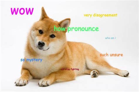 It is making higher highs and higher lows, and respecting the new levels when they're created. Introducing Dogebrarian