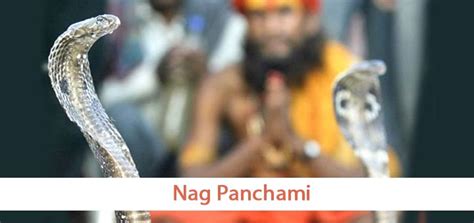 Read Complete Nag Panchami Puja Procedure Mantras To Chant During My