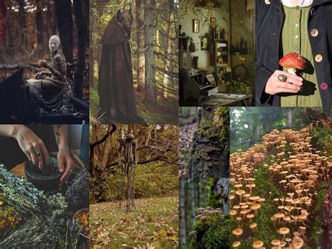 Goblincore Wall Collage Kit Forest Aesthetic Room Decor Dark Etsy
