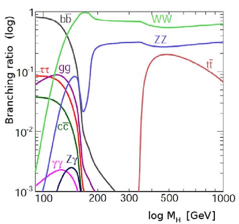 The Various Decay Channels Of The Higgs Boson According To The Standard