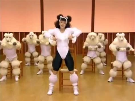 Exercise Video With Dancing Poodles Goes Viral 10 Years After It