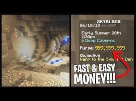 Way #5(afking grinder/droppers) this is an easy way to make money: The best new way to make money in hypixel skyblock - YouTube
