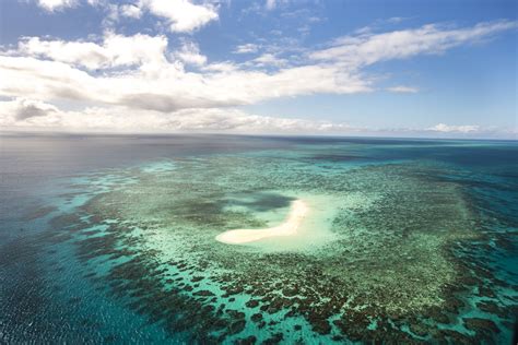 Wwfs Living Planet Report Echoed On The Great Barrier Reef National