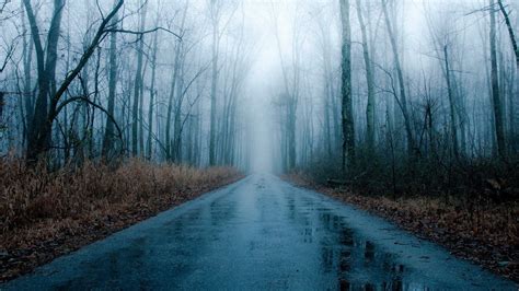 Foggy Rainy Road In Winter Rain Wallpapers Forest Road Foggy Forest