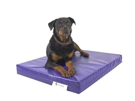 Tough Chew Resistant Dog Bed Maximum Pet Products