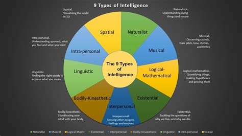 Multiple Intelligences Iq Tests And The 9 Types Of Intelligence Charles Leon