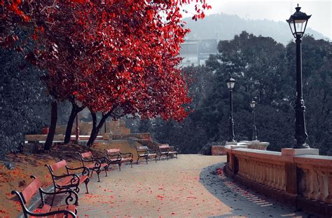 무료 이미지 경치 나무 집 밖의 눈 겨울 아침 가을 꽃 산책 저녁 색깔 자연스러운 공원 날씨 시즌