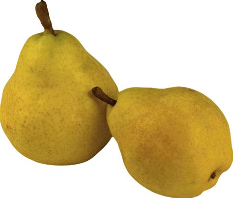 Hq Pear Png Transparent Pearpng Images Pluspng