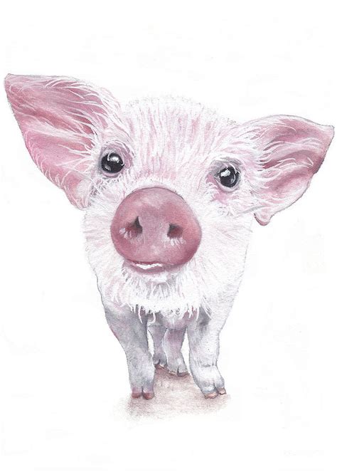 Baby Pig Painting By Katherine Klimitas Fine Art America