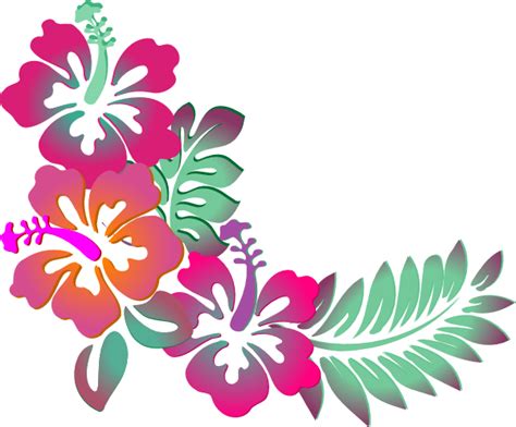 Hibiscus Logo Clipart Best