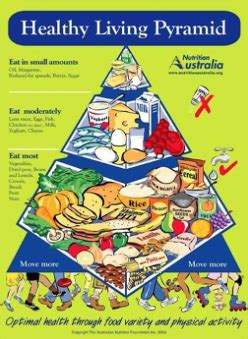 Discuss what the food pyramid is and what each section represents. Australia's New Healthy Eating Pyramid Explained - Mum's ...