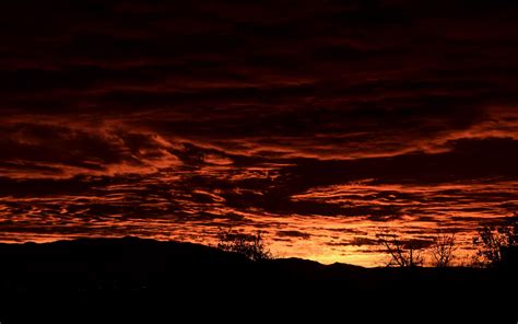 Download Wallpaper 2560x1600 Trees Hill Clouds Sky Sunset Dark
